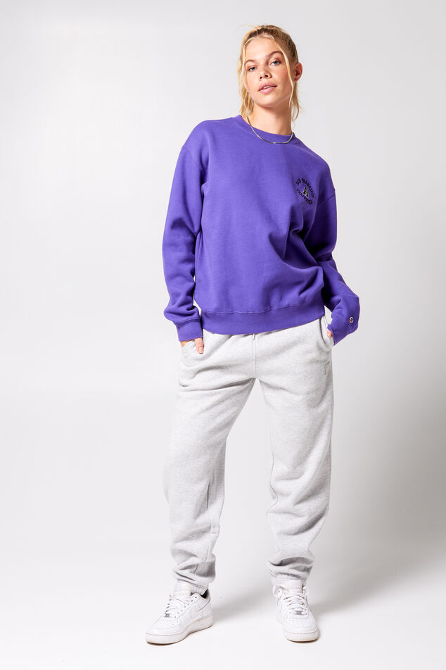 Dames Sweater Sascha crew Purple | America Today