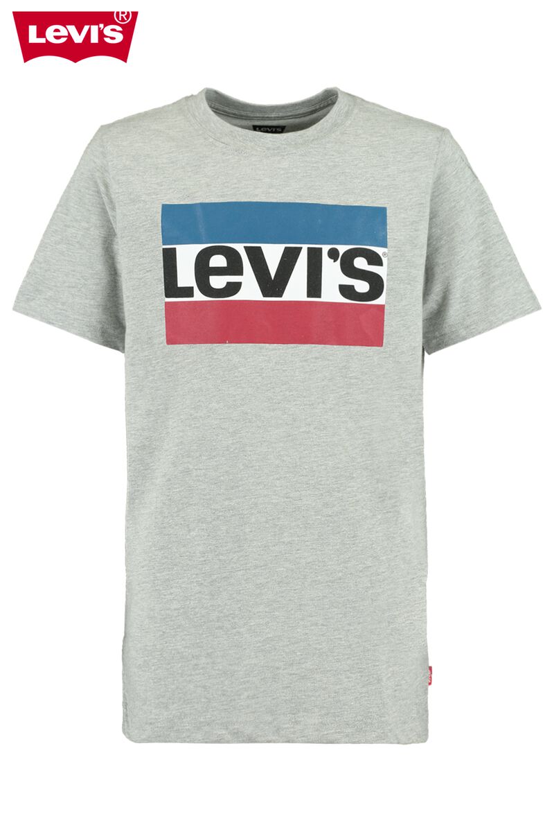 Boys T-shirt Levi's Sports wear Grey Buy Online