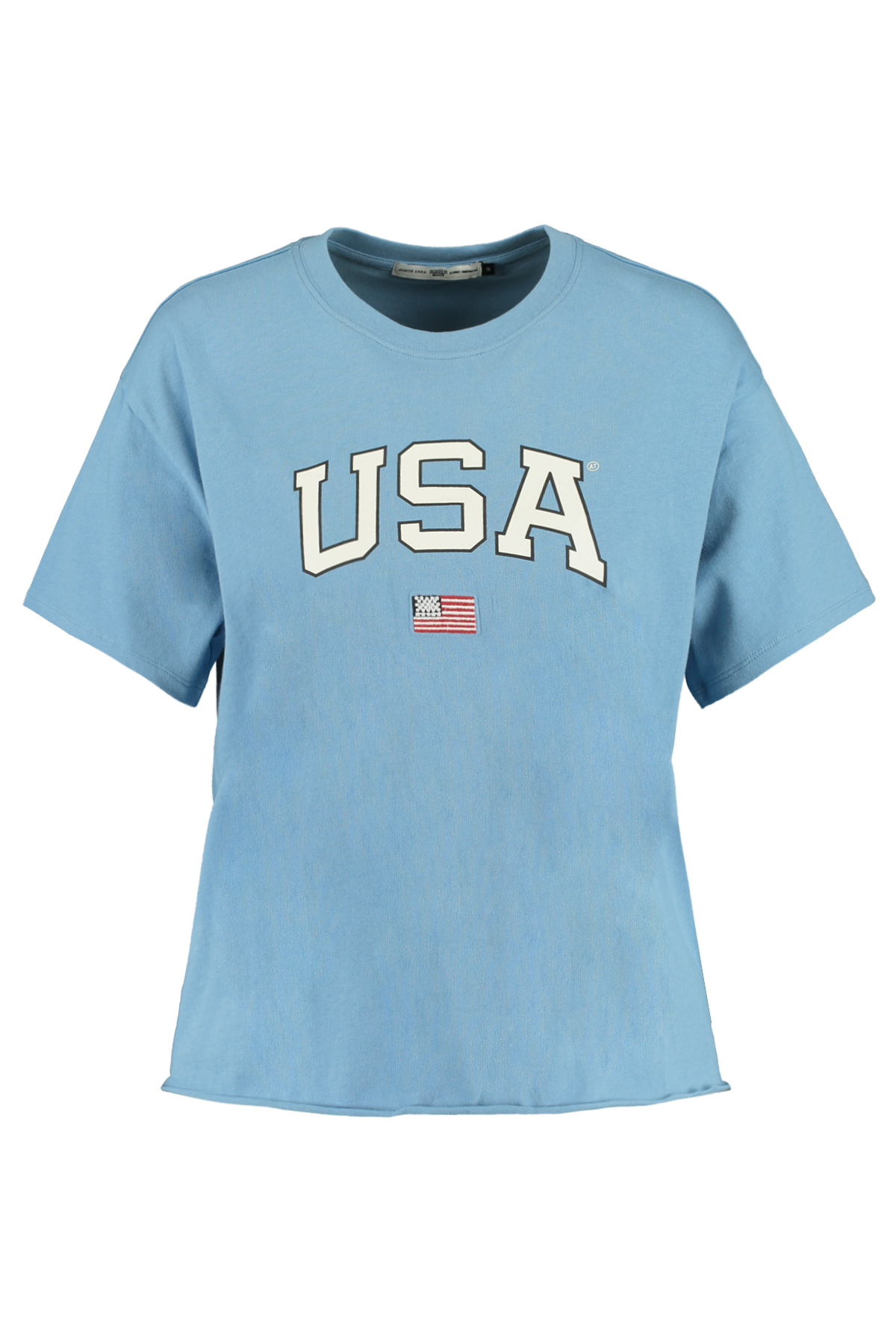 Women T-shirt USA text print Blue Buy Online